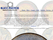 Tablet Screenshot of bluccphotos.com